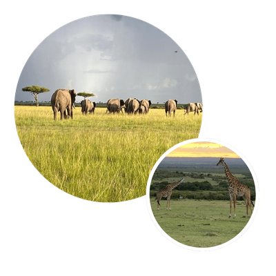 Design sans titre (9)